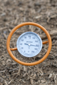 Measuring the temperature of the compost pile.